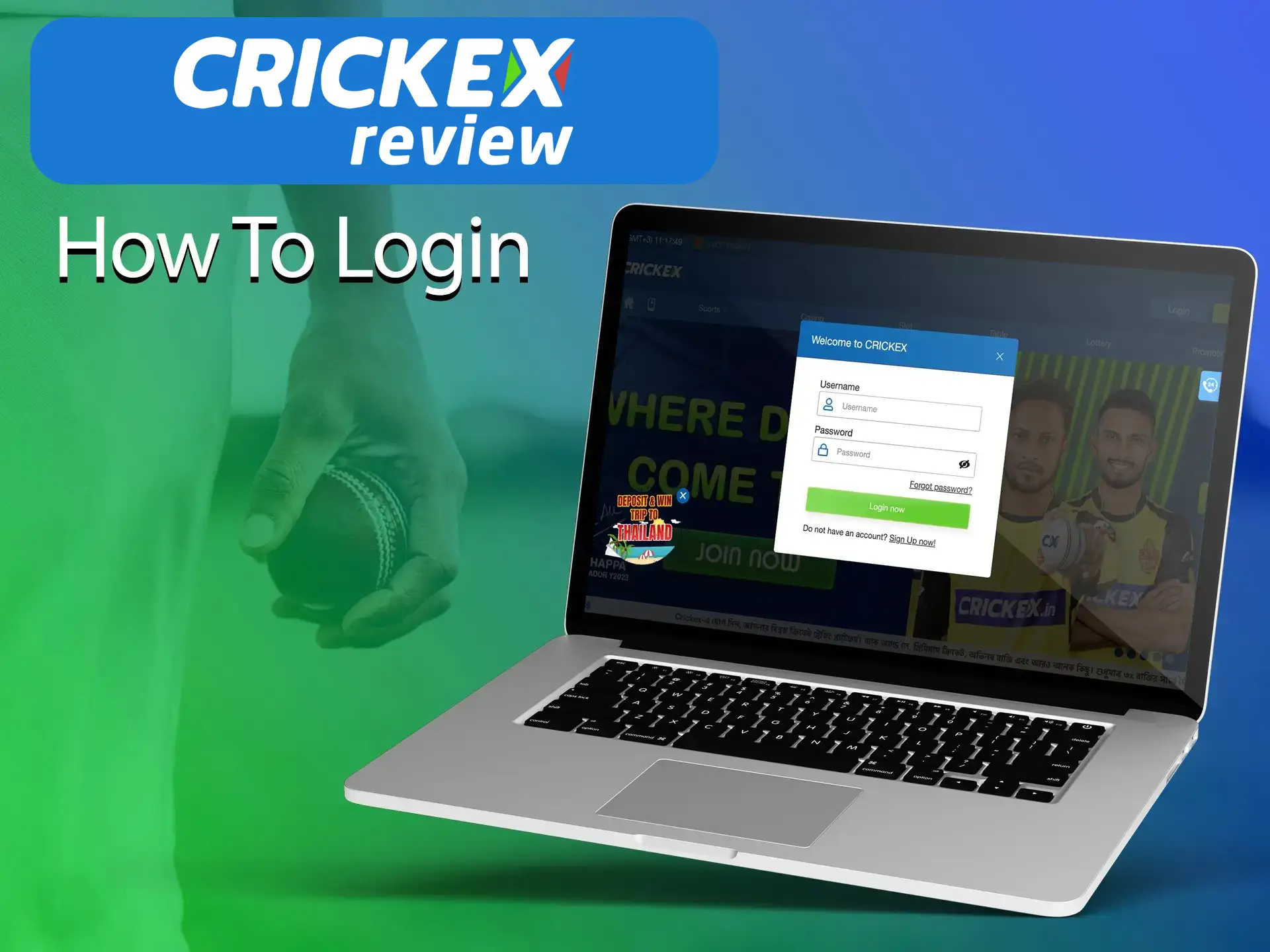 Crickex provides its clients with a simple and convenient personal account on the website.