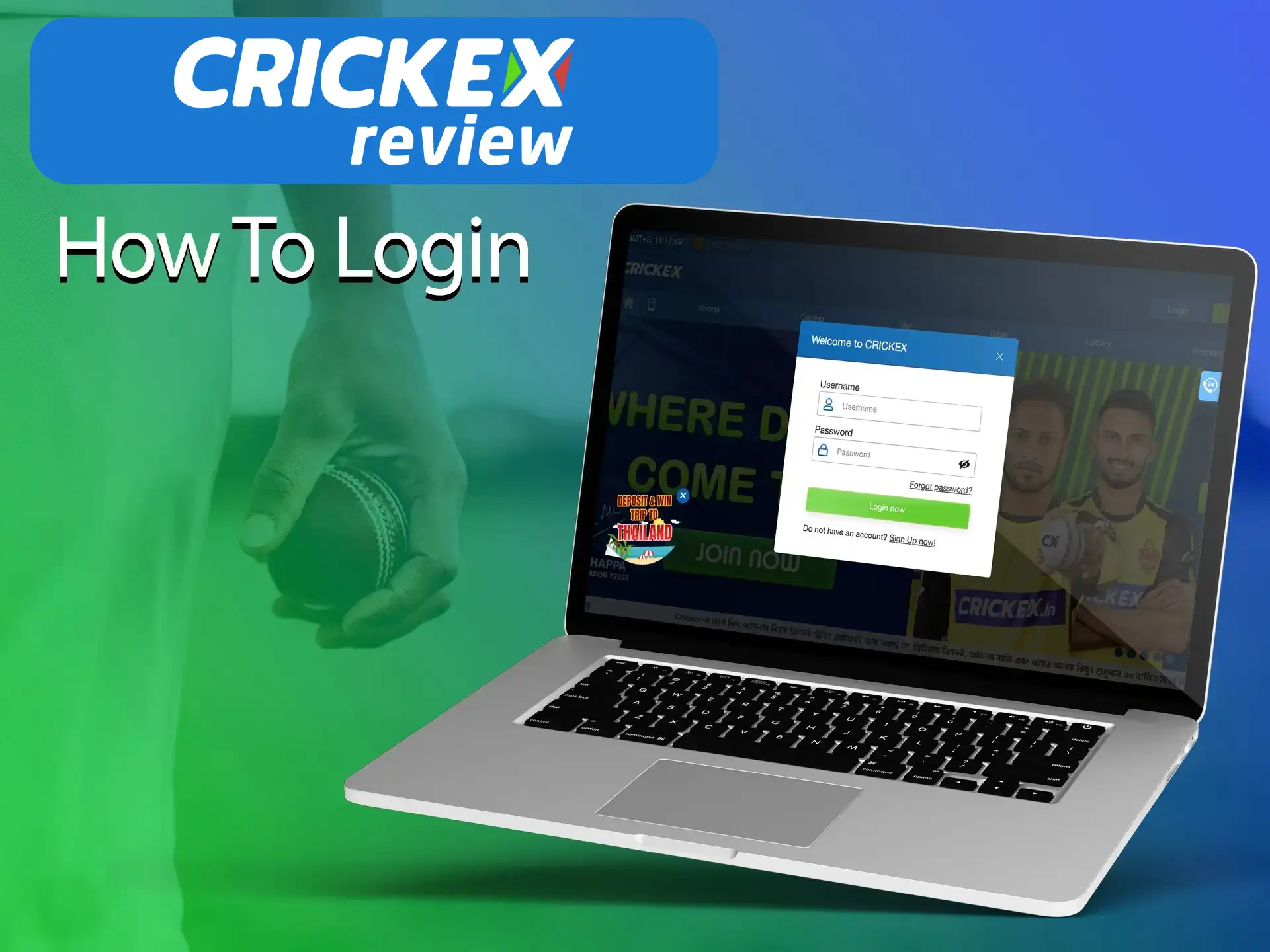 Crickex provides its clients with a simple and convenient personal account on the website. Crickex provides its clients with a simple and convenient personal account on the website.