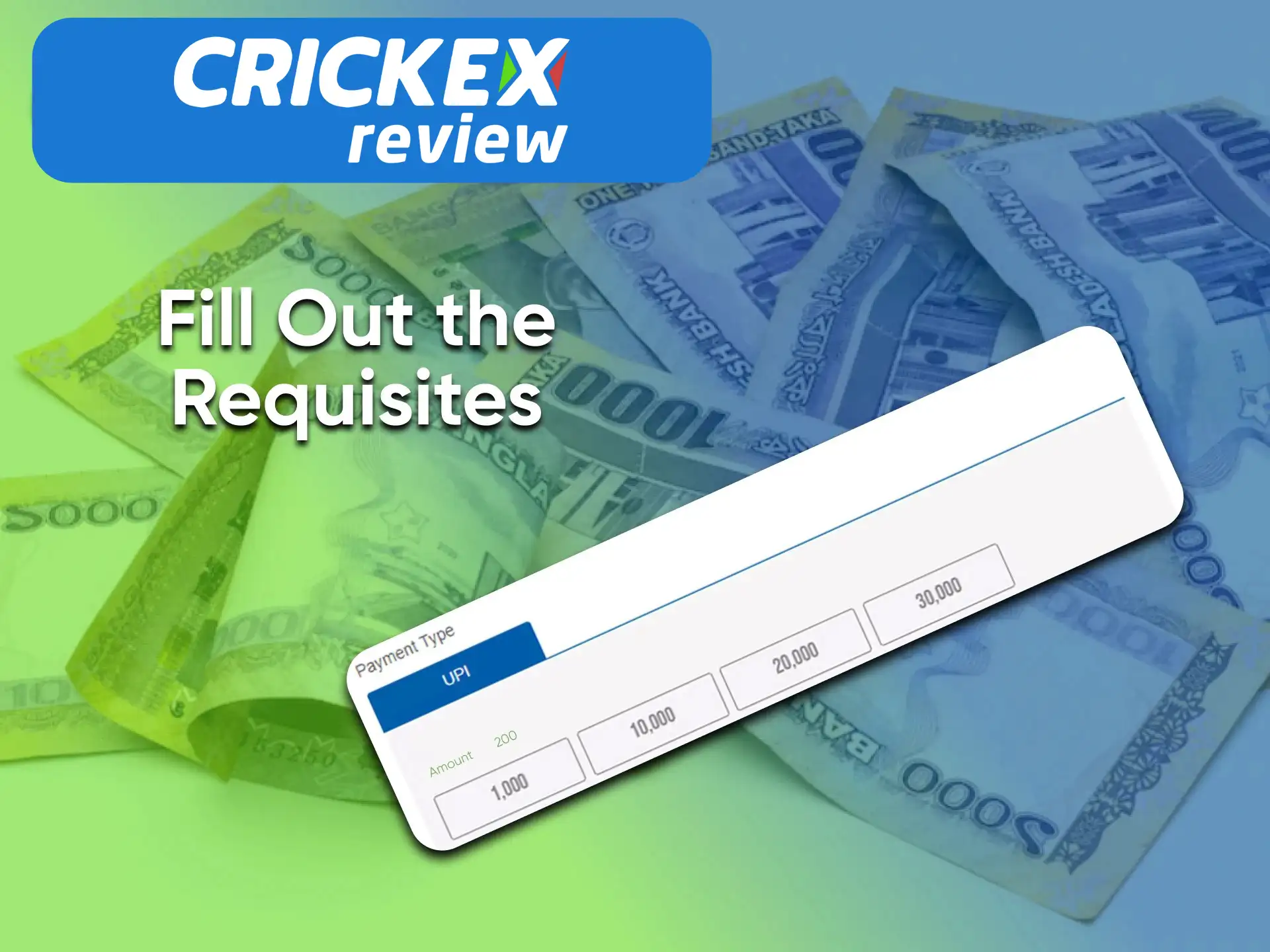 Enter the required details to complete the withdrawal from Crickex.